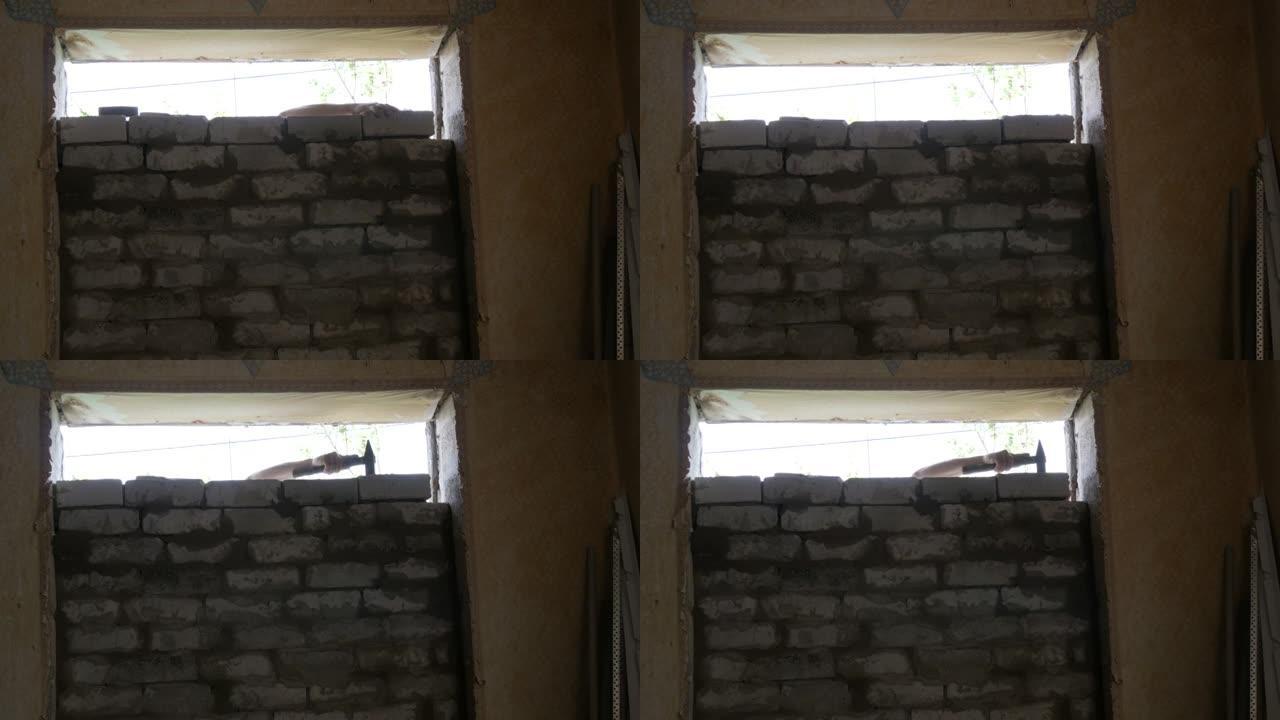 建筑商的男性手在新鲜的湿水泥上铺了一块砖。砖墙，内衬窗户