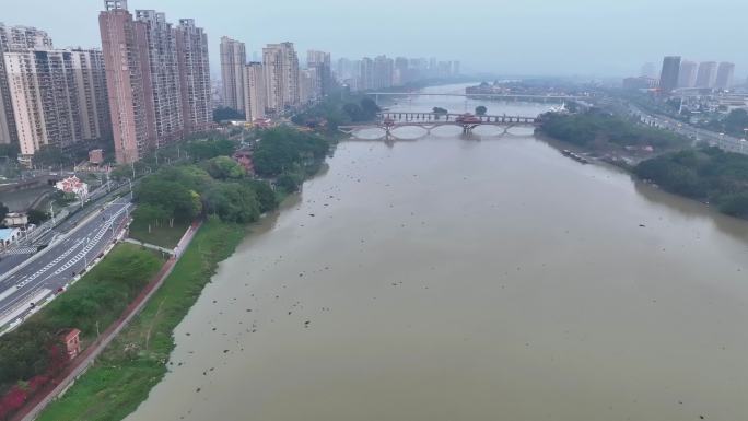航拍福建漳州九龙江两岸生态公园建设
