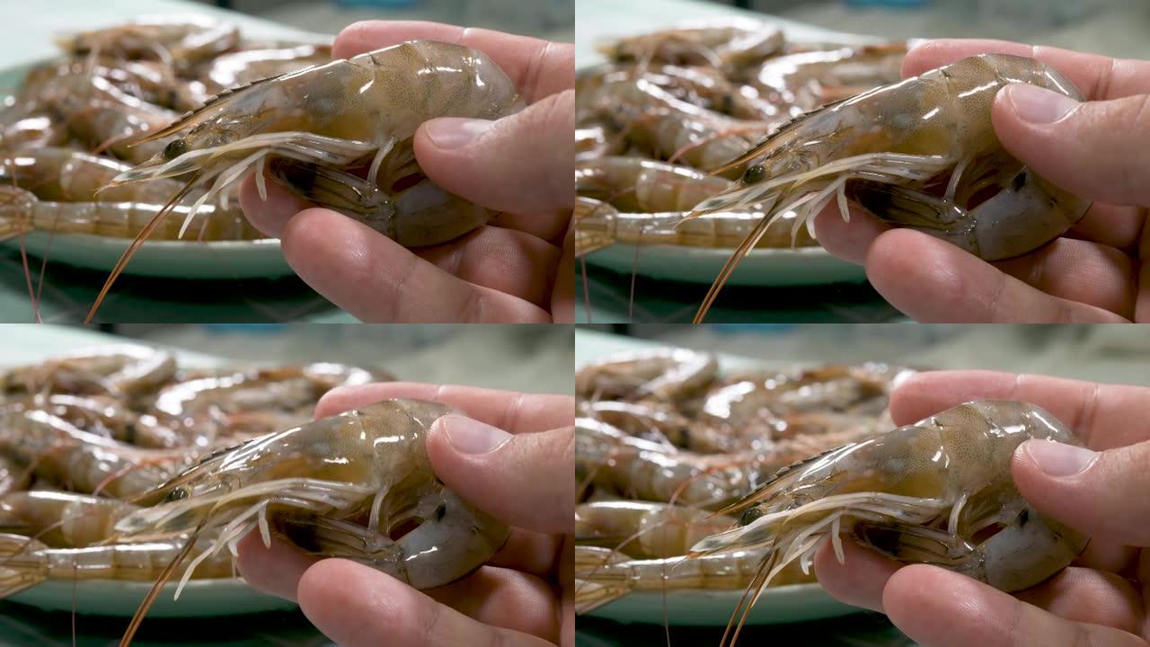 新鲜虾或生虾在手