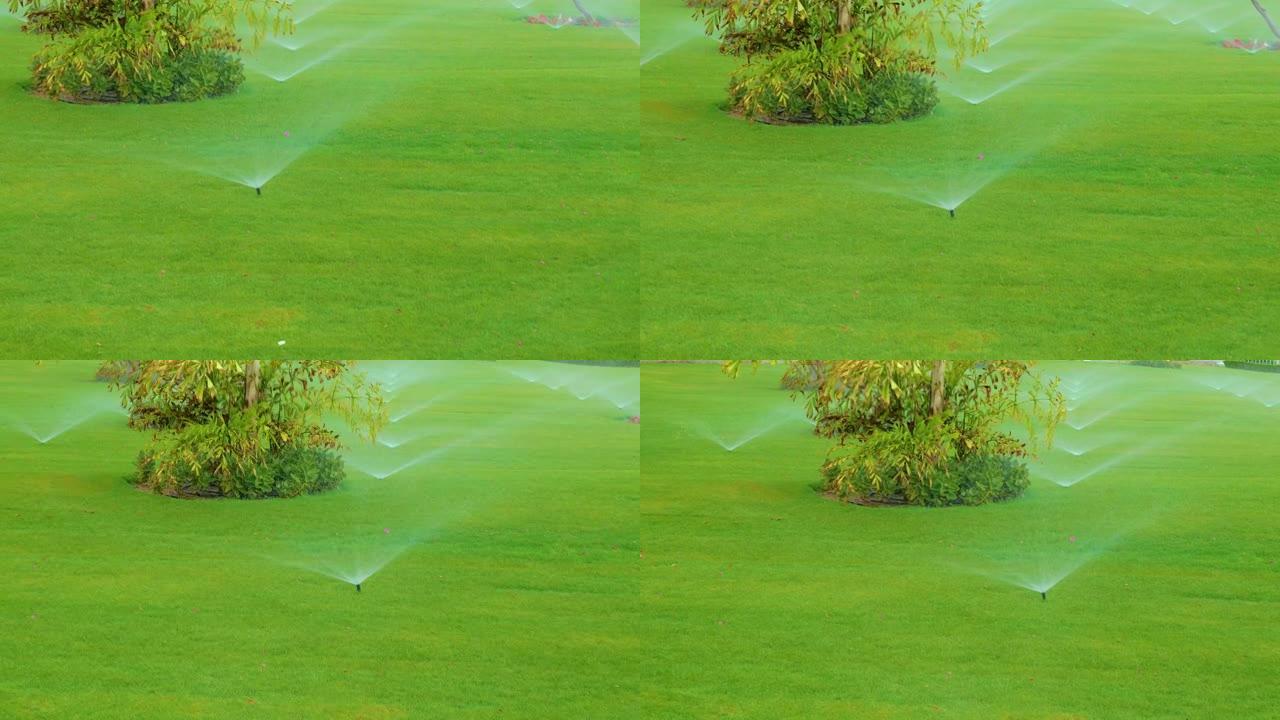 旋转喷淋草坪灌溉装置