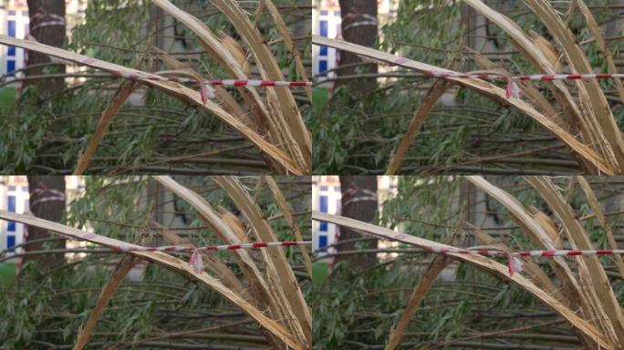 屏障胶带，在强风过后被围在危险的地方。断树选择性聚焦