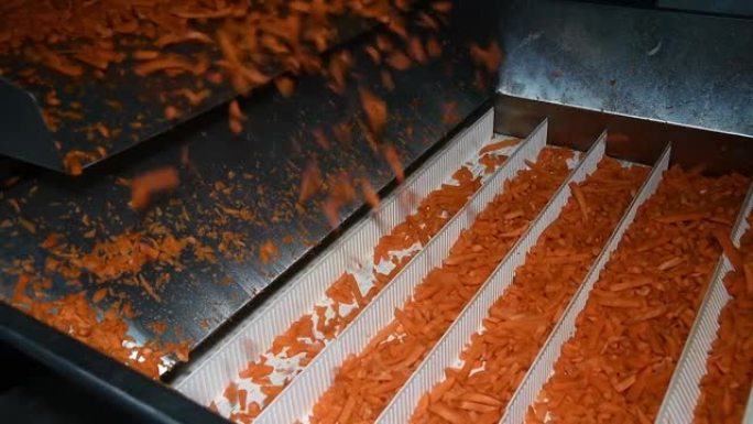 胡萝卜被清洗、干燥和冷冻以进一步储存