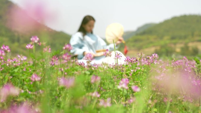 紫云英花海春天美少女孩露营椅摇扇采花乡村