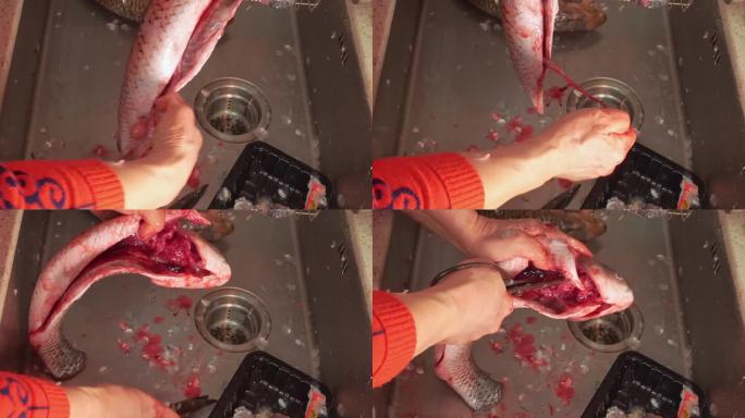 草鱼开膛去内脏杀鱼处理鱼肉 (3)