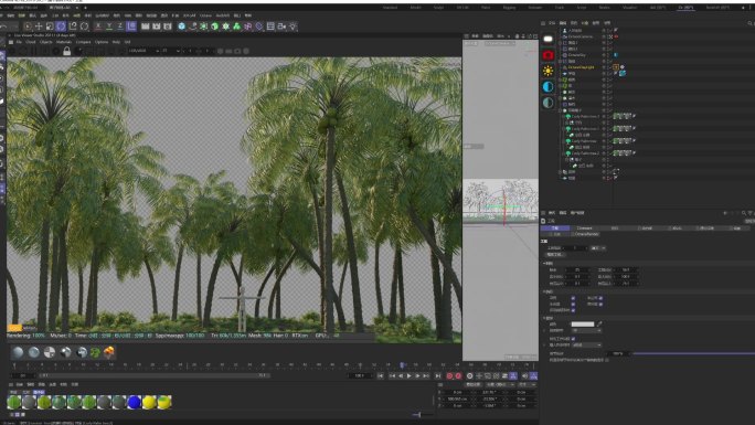 椰子树林C4d工程带动画