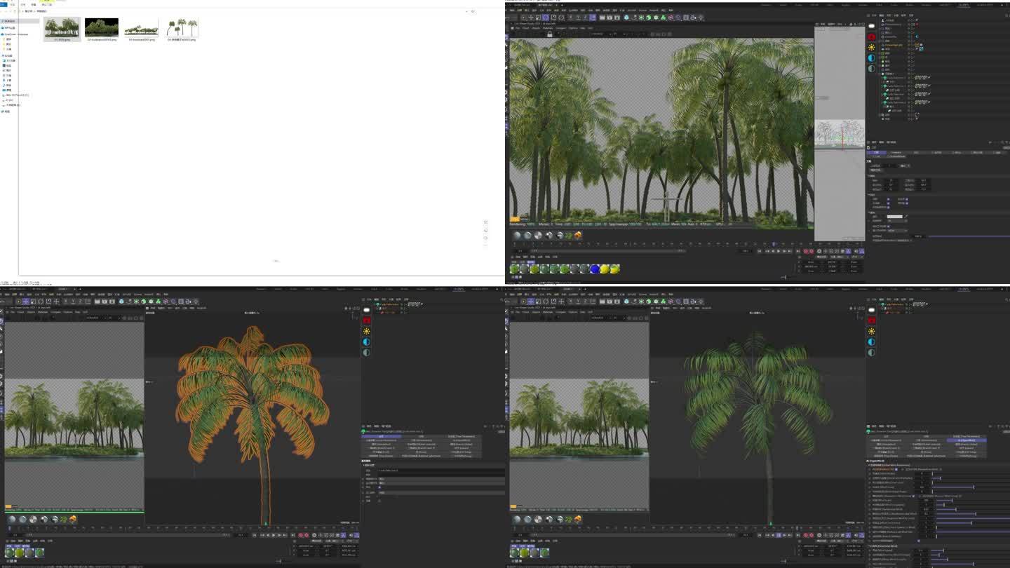 椰子树林C4d工程带动画