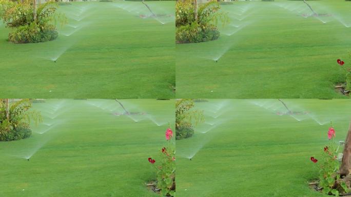 旋转喷淋草坪灌溉装置