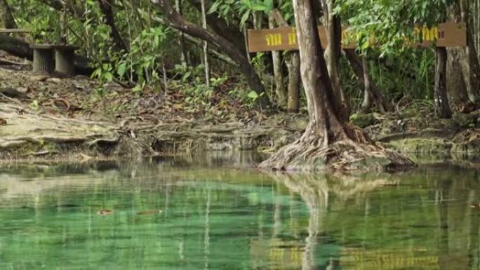 泰国南部森林美丽宁静的疗愈温泉