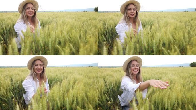 慢动作拍摄一名年轻女子在田野中漫步时抚摸小麦作物的手