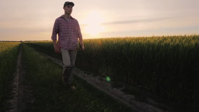一个成功的农民在日落时沿着他的麦田行走