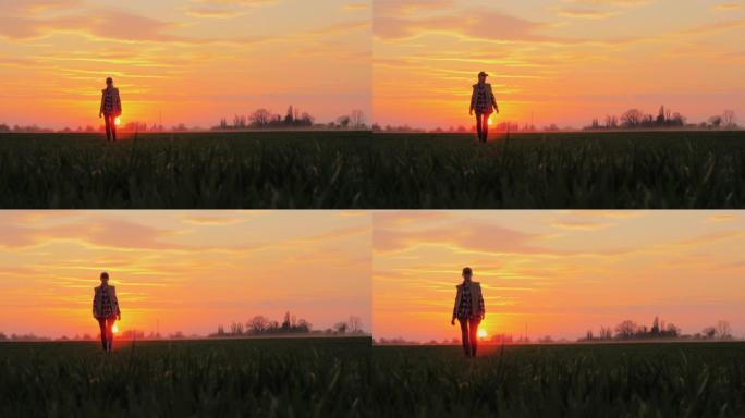 一位年轻的农民在粉红色的天空和夕阳的背景下走过一片绿色的麦田