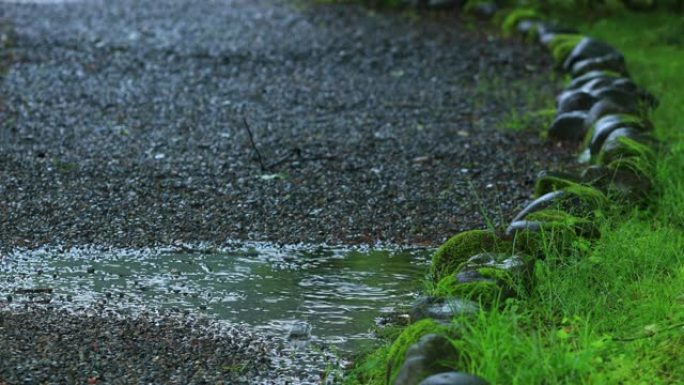 在日本，石头和苔藓上的雨滴