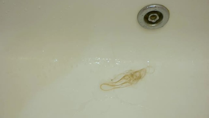 脱发和毛发疾病的主题。在浴室里，一丛长长的金发在洗女人的头时脱落。金发女人脱发。头发健康和护理。选择