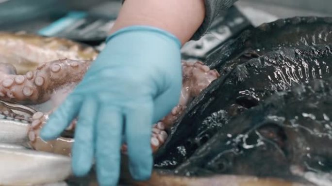 鱼贩捡起一条生鱼和一条章鱼，将其纠正并放在碎冰上。商店货架上新鲜的地中海鱼和海鲜，在超市里有各种各样