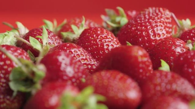 覆盖着水滴的多汁成熟草莓靠近旋转。夏季甜浆果，红色背景上有绿色尾巴。健康的有机素食食品。维生素健康水