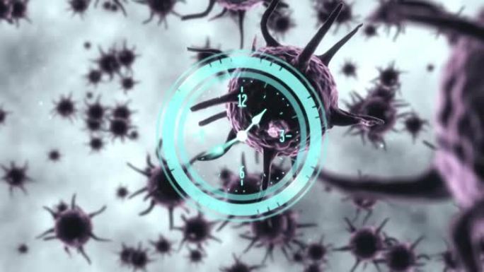 时钟和圆形扫描仪在covid 19细胞上旋转的动画