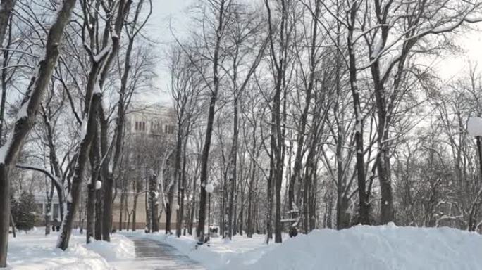 白俄罗斯戈梅利。阳光明媚的冬日，鲁缅采夫-帕斯克维奇宫附近的雪城公园