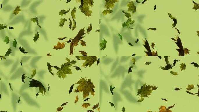 秋叶落在绿色背景上的动画