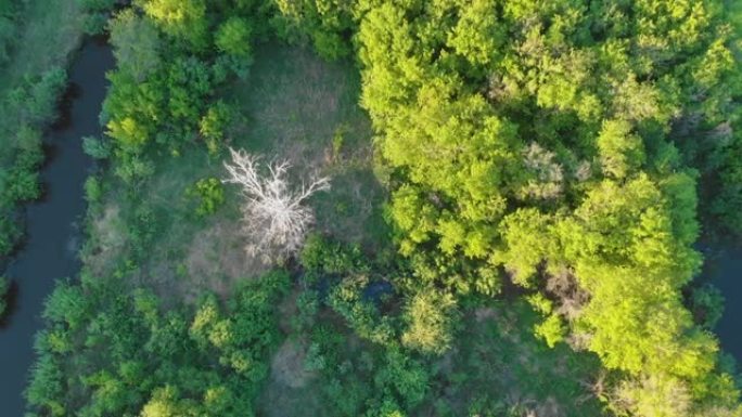 野河空中无人机射击