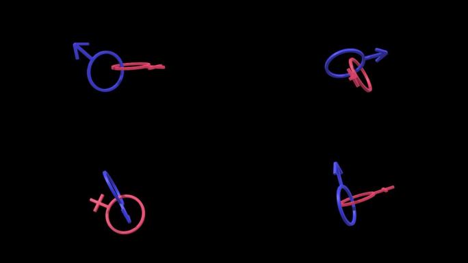 女性和男性符号在透明背景上一起旋转，4k prores镜头，循环