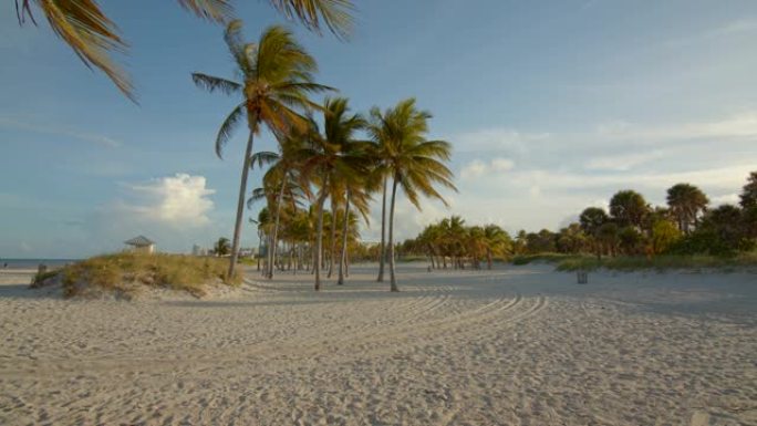 佛罗里达州迈阿密禅宗海滩场景