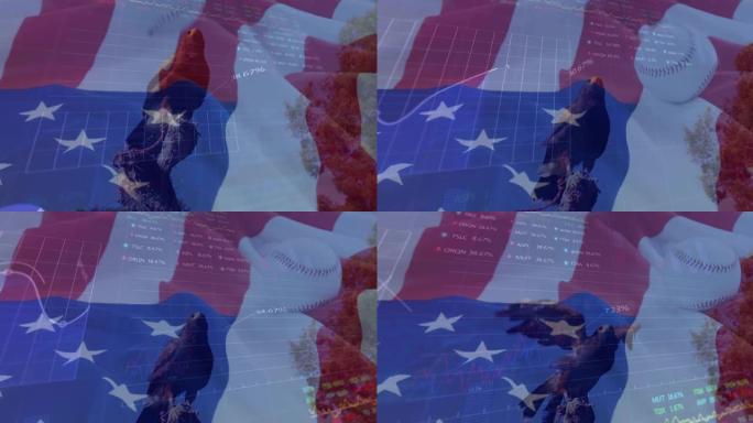 美国国旗动画、棒球、老鹰、数据处理