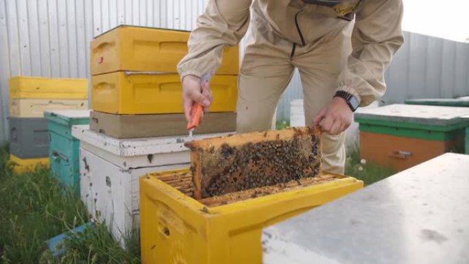 养蜂人打开养蜂小组