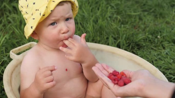 婴儿吃浆果。2-3岁的可爱的小孩在盆里洗澡，吃女人手中的覆盆子，在花园或大自然中晴朗的晴天。特写和慢