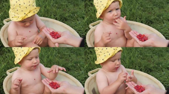 婴儿吃浆果。2-3岁的可爱的小孩在盆里洗澡，吃女人手中的覆盆子，在花园或大自然中晴朗的晴天。特写和慢