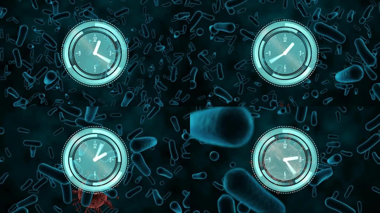 血细胞和covid细胞上的时钟和范围扫描动画