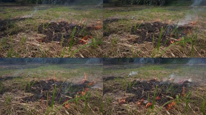 大火在一个小村庄内燃烧着干草和芦苇。火灾和自然灾害。农夫烧草给田地施肥