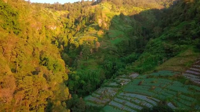早晨，在晴朗的天气下，中爪哇省马格朗的Sumbing山的山坡，森林，河流和种植园的无人机视图。非常适