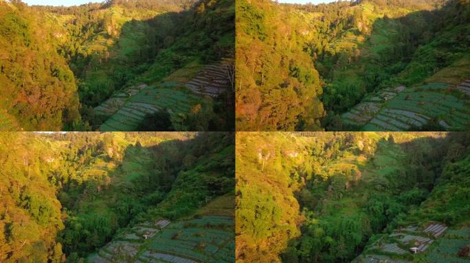 早晨，在晴朗的天气下，中爪哇省马格朗的Sumbing山的山坡，森林，河流和种植园的无人机视图。非常适
