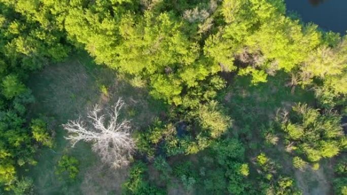 野河空中无人机射击