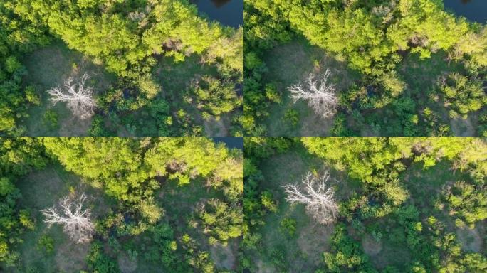 野河空中无人机射击