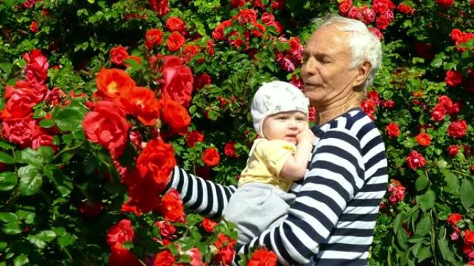 老人抱着婴儿在花园里，背景是玫瑰
