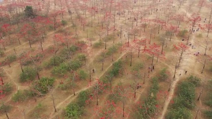 孟加拉国达卡农村地区人们的鸟瞰图。