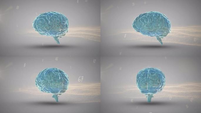 人类的大脑在蓝色背景上针对多个数字和数字波旋转