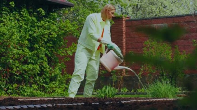 园艺人视频。浇水的年轻女子可以将水倒在花园的床上