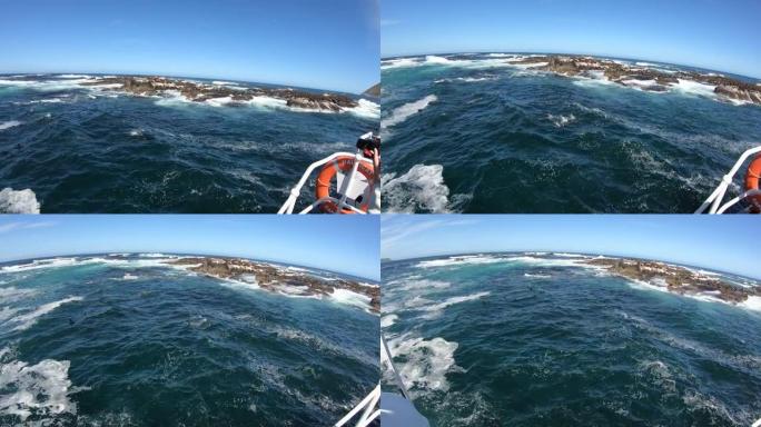 南非开普敦附近的海豹岛乘船旅行野生生物殖民地玩跳跃游泳广角清澈蓝天4k慢动作