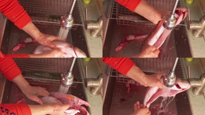 草鱼开膛去内脏杀鱼处理鱼肉 (1)