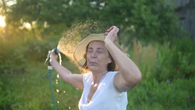 快乐的老年女性在夏季花园里用软管浇花植物很开心。背光中的水滴。农耕、园艺、农业、老年人。在农场种植有