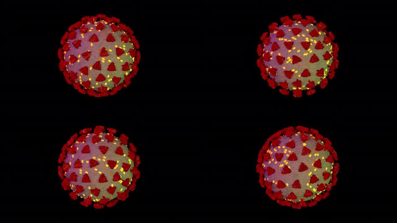 冠状病毒或新型冠状病毒肺炎在显微镜下将漂浮的流感病毒细胞视为危险的流感毒株病例，作为在黑色背景上隔离