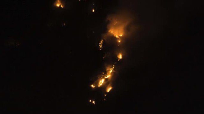 夏季夜间喀拉拉邦森林发生火灾