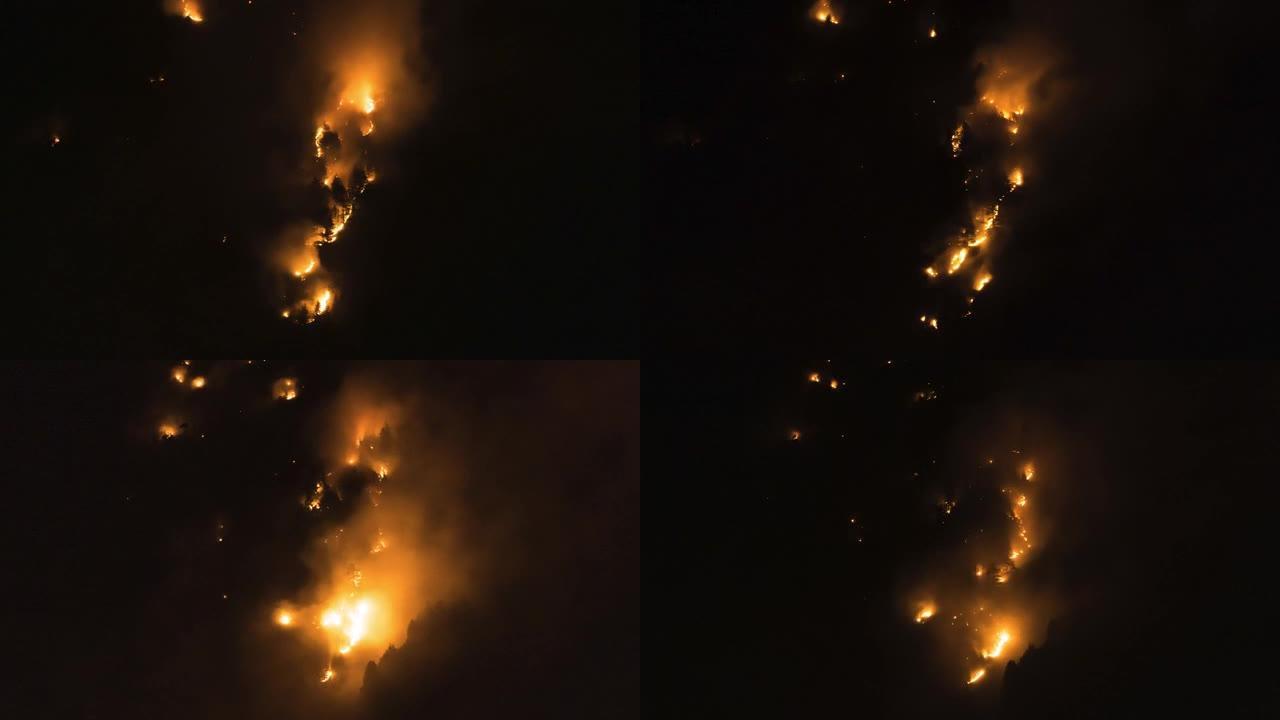 夏季夜间喀拉拉邦森林发生火灾
