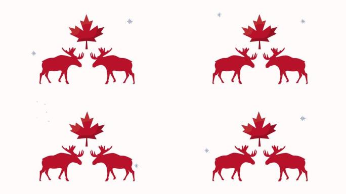 加拿大庆祝枫叶和木桑