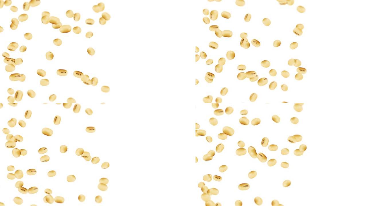 在白色背景上飞行许多大豆。浅棕色谷物。大豆和大豆。健康食品。大豆旋转的3D循环动画。