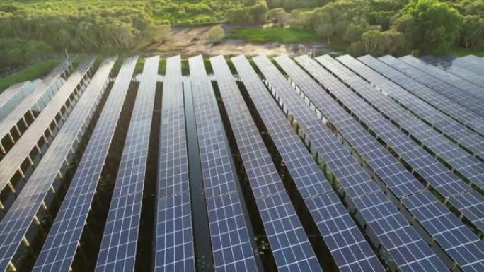 太阳能农场的空中俯视图，带有用于产生可再生电力的阳光电池。节能和替代电源的概念