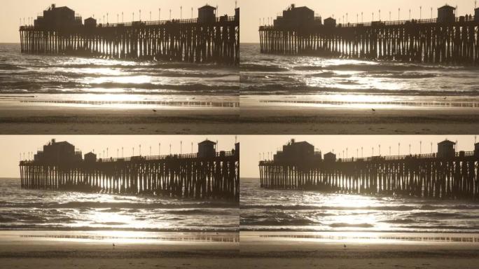 日落码头剪影，美国加利福尼亚州，海滨。海洋热带海滩。海鸥鸟近波