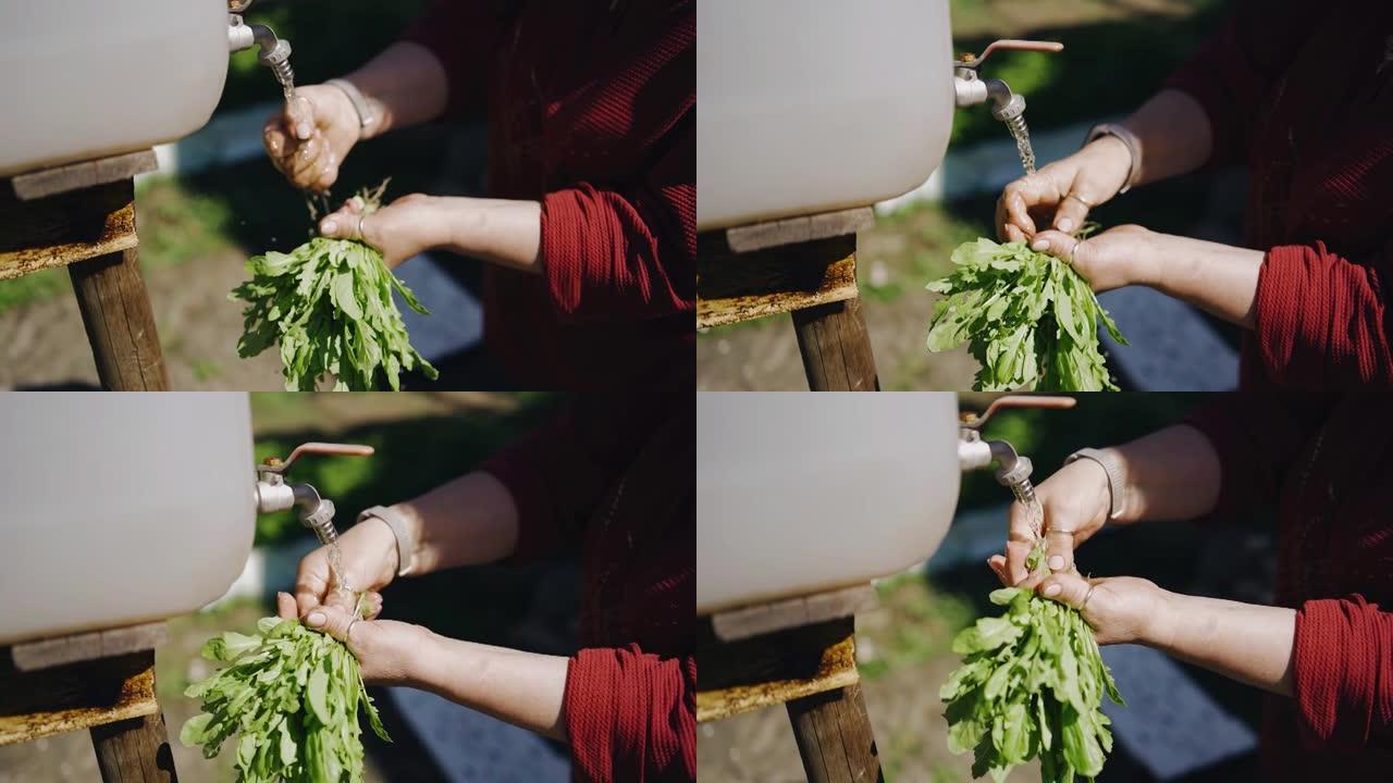 一名妇女在花园里打开了一个装有水的水龙头，正在从土壤中清洗蔬菜。女人的手的特写